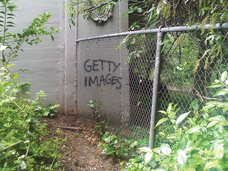 Un tag Getty images derrière une barrière en fil de fer, et beaucoup de plantes sauvages autour