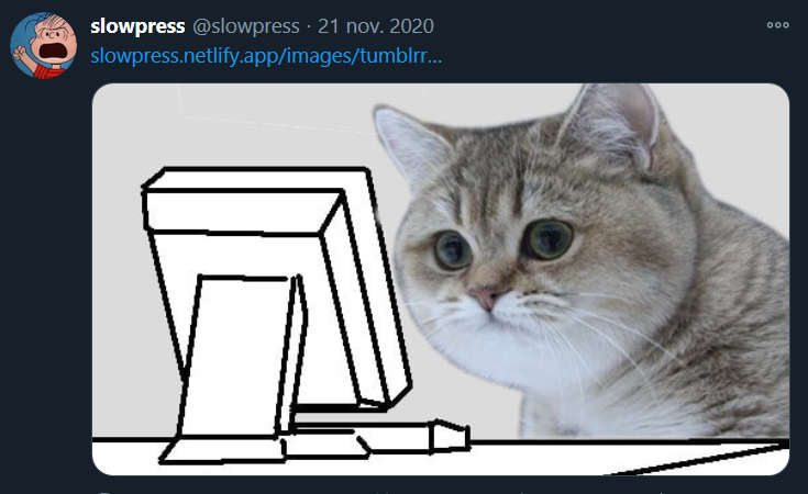 Un lien avec l'album photo et une image avec une photo d'un chat qui regarde l'écran d'un ordianteur