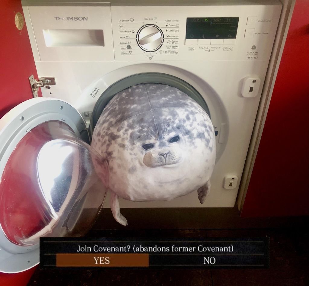Une peluche de phoque dans une machine à laver dont la tête dépasse du hublot avec une inscription Join covenant (référence au jeu vidéo Dark Souls).