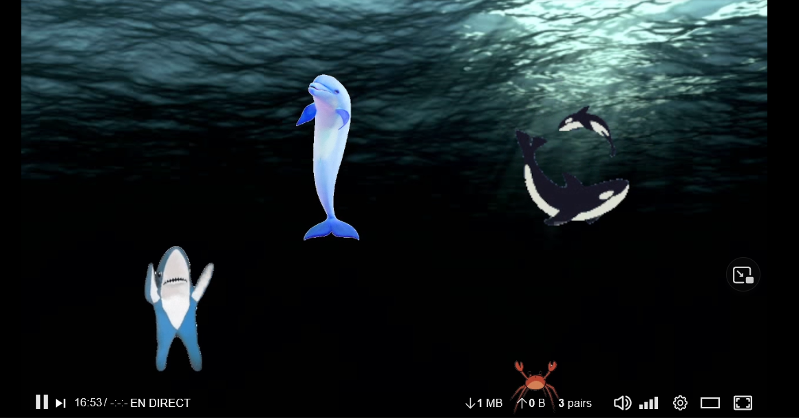 une capture d'écran du stream Danse délicat (lien plus bas): des gifs d'une baleine, d'un dauphin et d'un requin qui dansent sur un fond marin. Le stream se passe sur peertube, il y a 3 pairs.