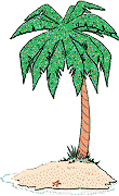 Un palmier.
